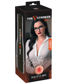 V-Stroker Cindys Butt
