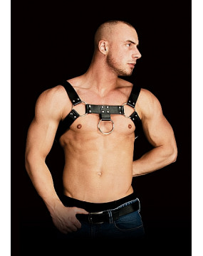 Costas - Solid Structure 2...