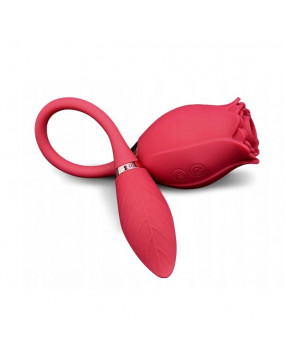 ROSE Miss Coyness USB 10...