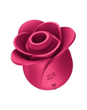 Pro 2 Modern Rose